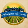 ARANDANOS DEL HUERTO